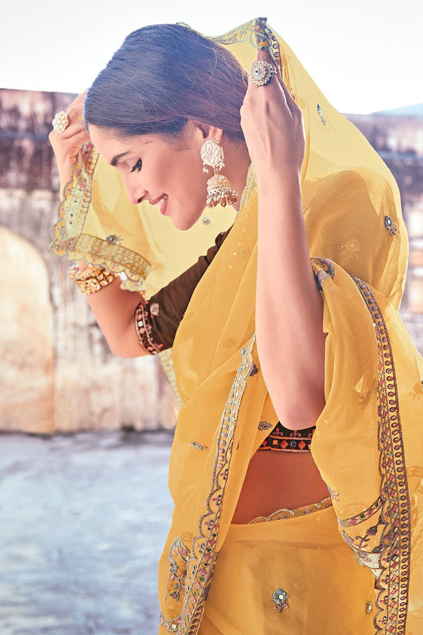 Porsche Yellow and Brown Organza Saree